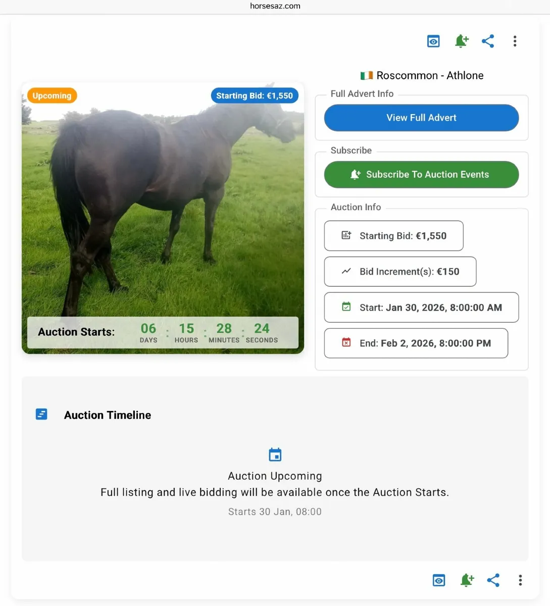 Online Horse Auction – Entries Closing Soon - Image 3