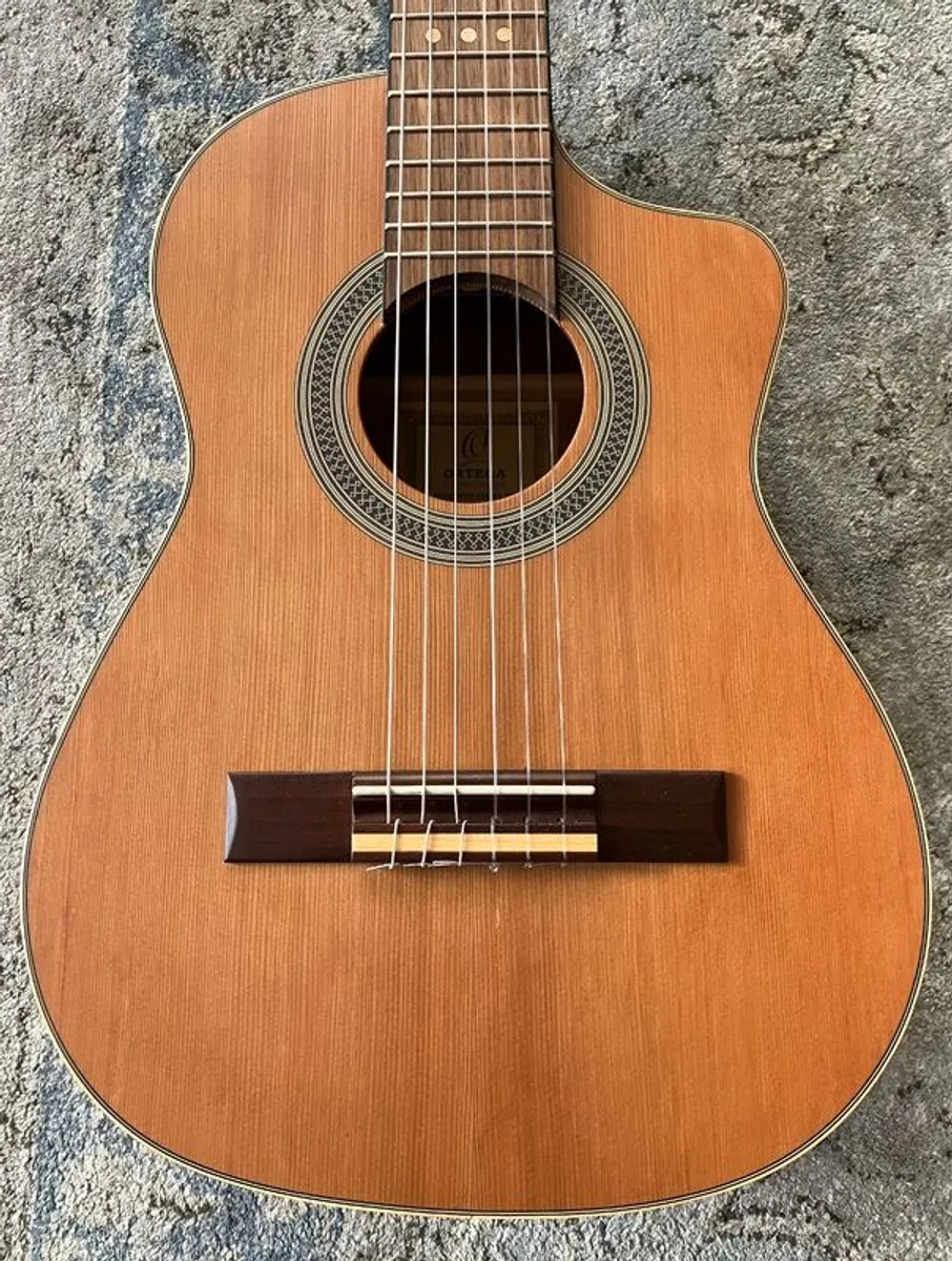 Ortega RQ39 Guitar - Image 1