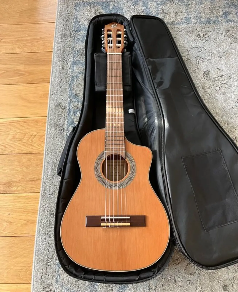 Ortega RQ39 Guitar - Image 2