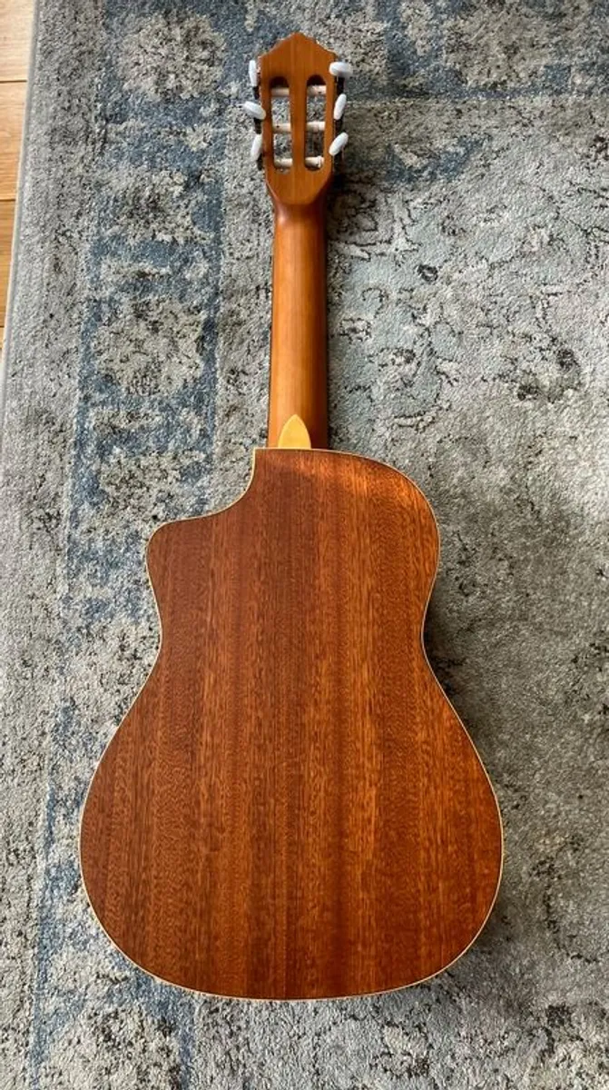 Ortega RQ39 Guitar - Image 3