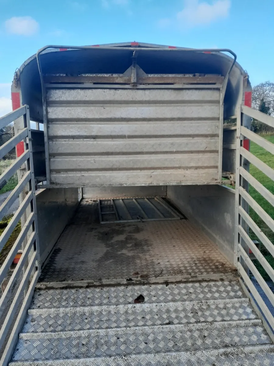 Cattle/sheep trailer - Image 1