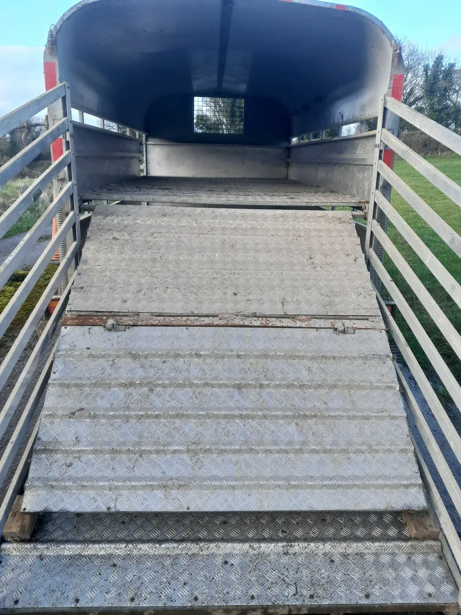Cattle/sheep trailer - Image 3