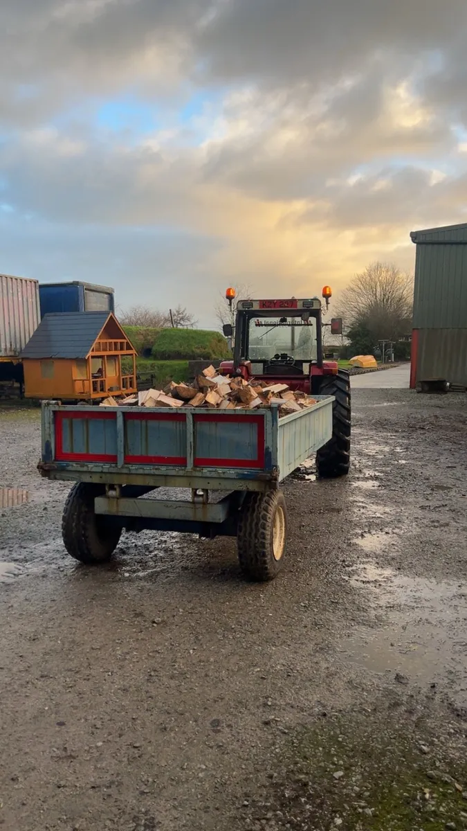 Ash firewood - Image 1