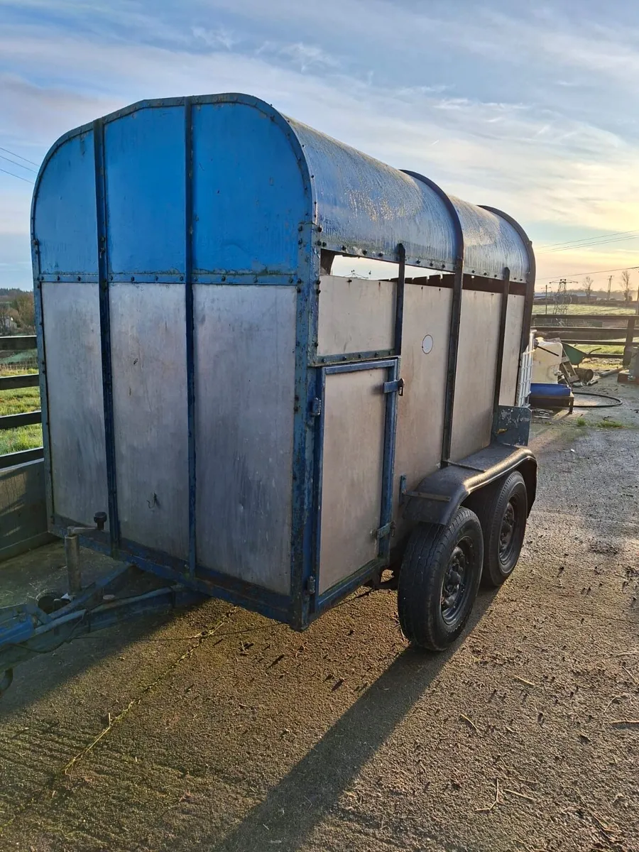 8x5 2 cow trailer - Image 1