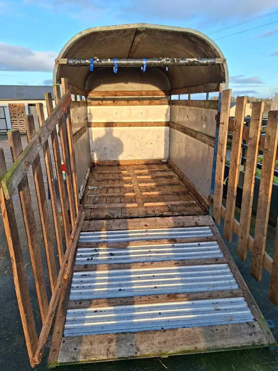 8x5 2 cow trailer - Image 4