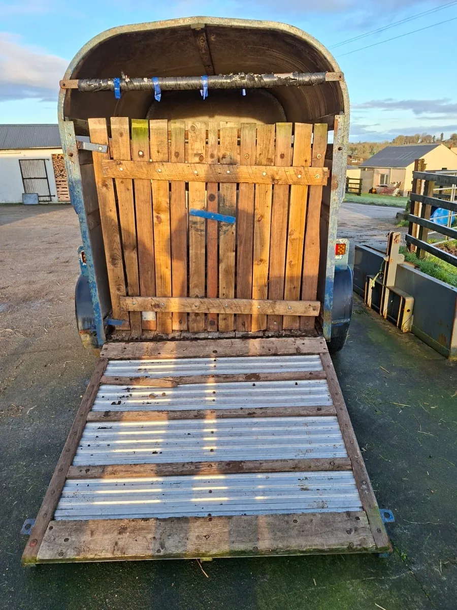 8x5 2 cow trailer - Image 3