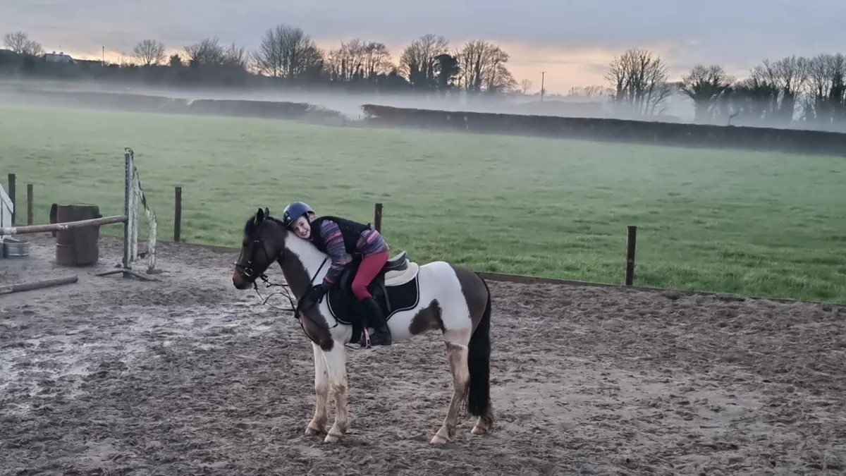 128cm Pony - Image 2