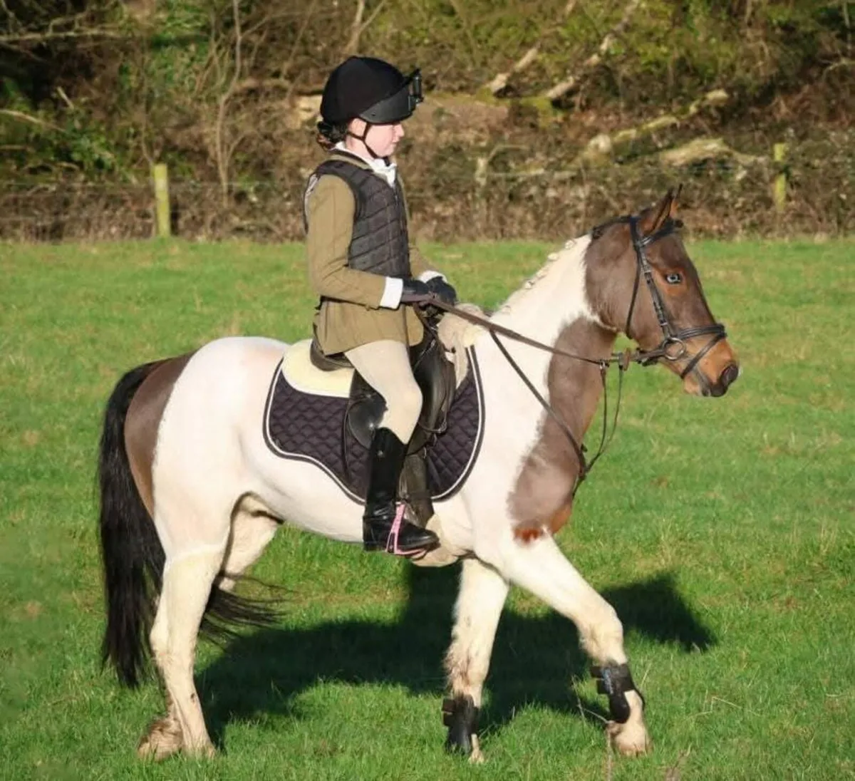 128cm Pony - Image 3