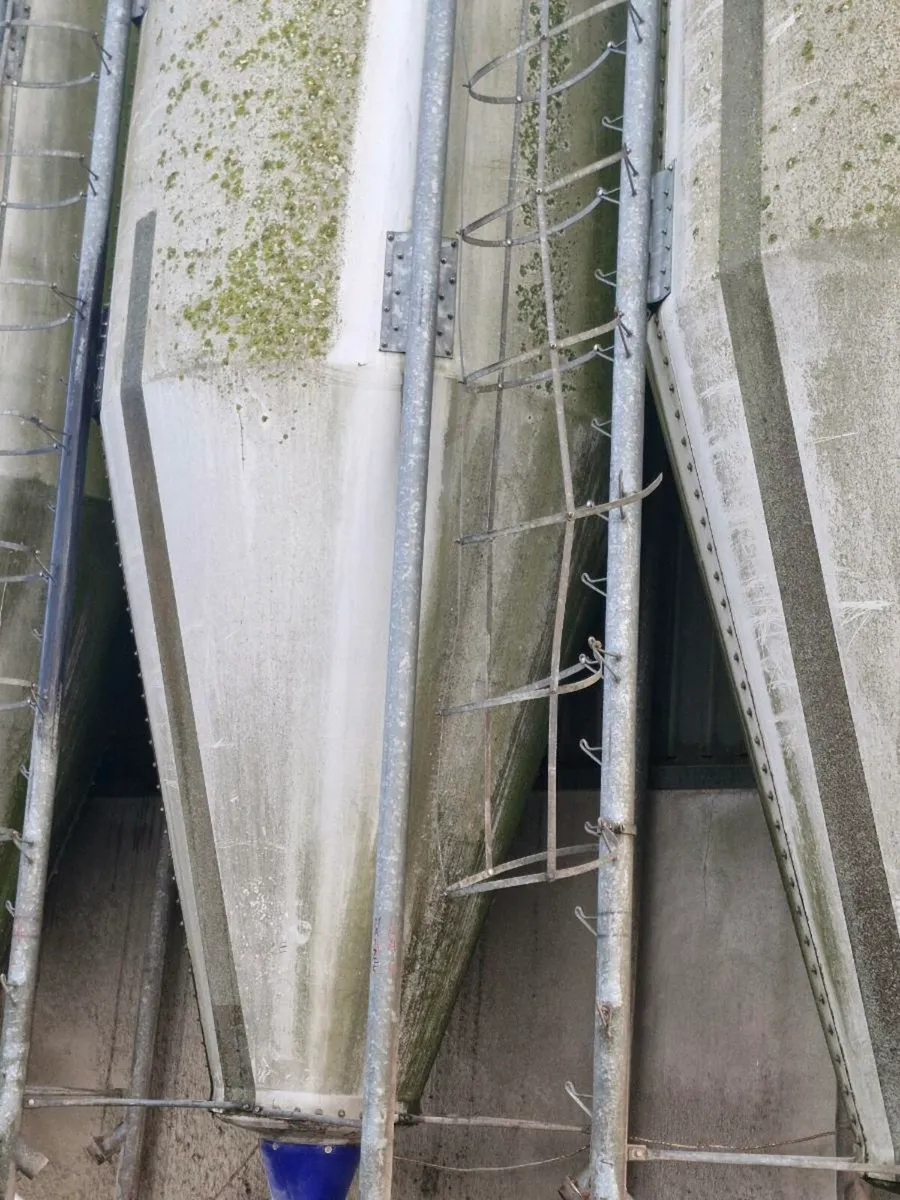 Feed silos - Image 2