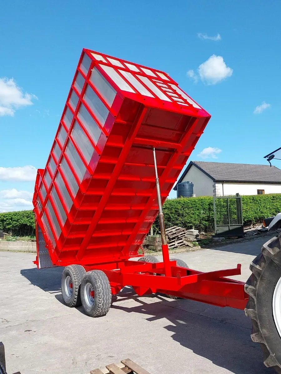 Cattle/Silage Trailer - Image 4