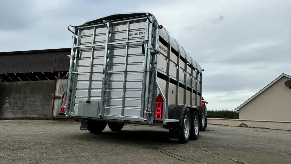 Nugent Sheep Trailer - Image 4