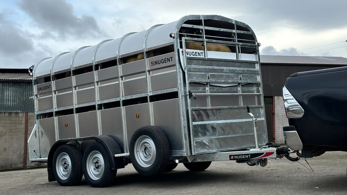 Nugent Sheep Trailer - Image 3