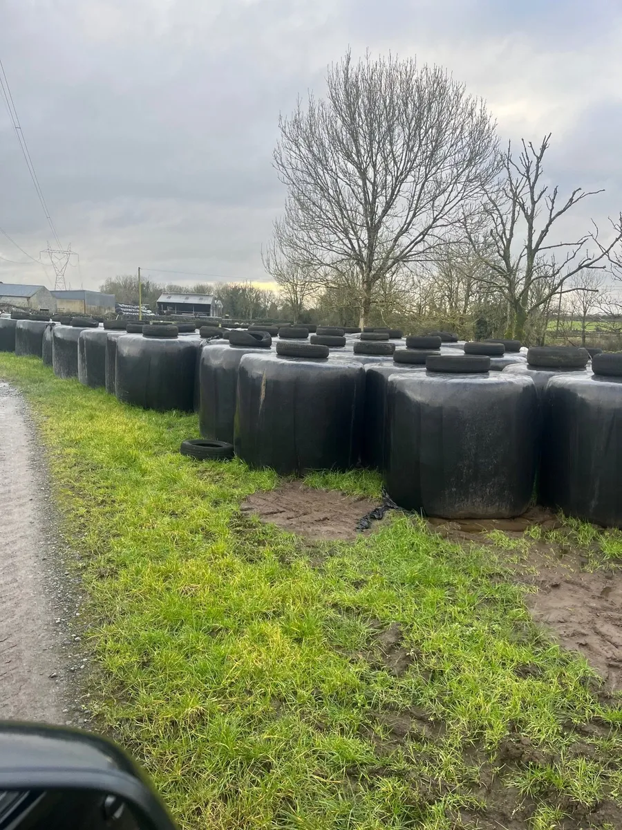 Silage - Image 2