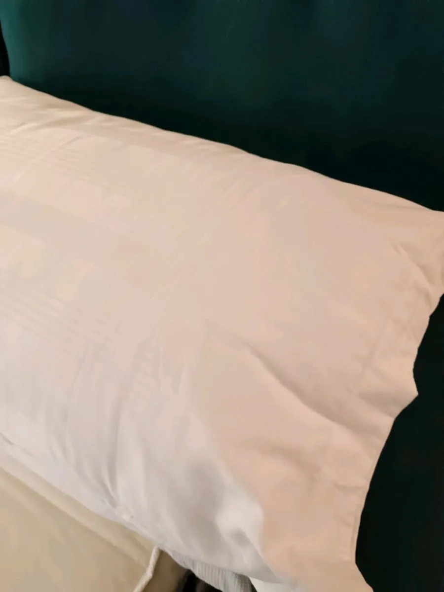 Alstons double sofabed - Image 1