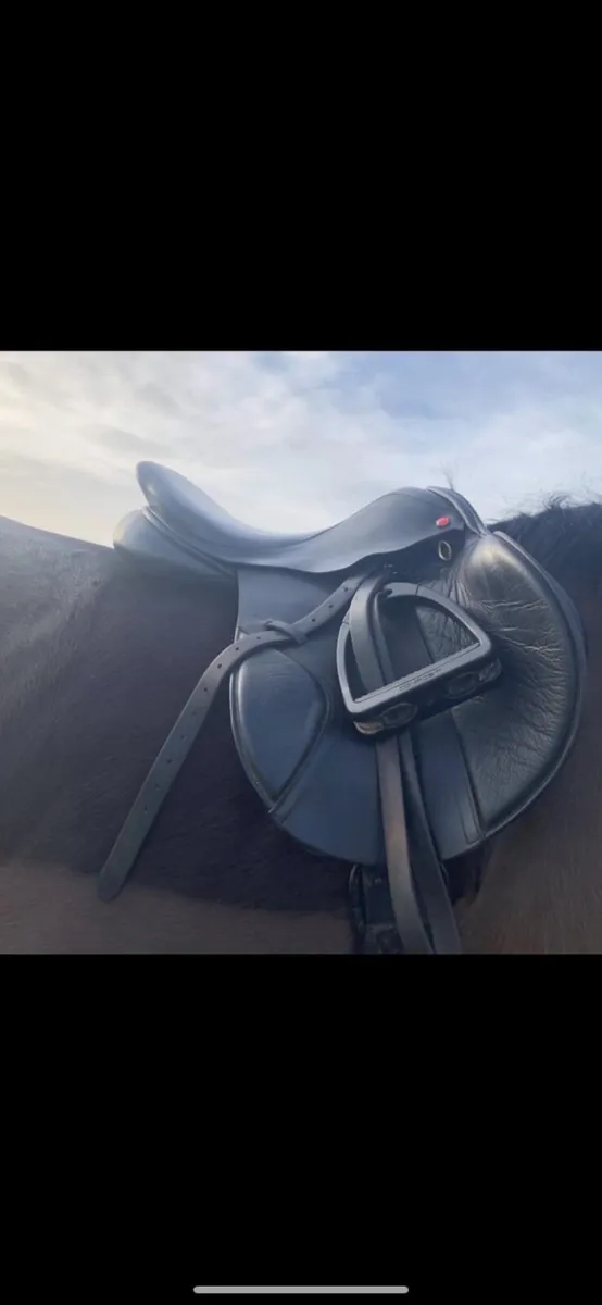 Albion k2 jump saddle - Image 1