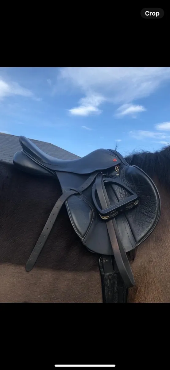 Albion k2 jump saddle - Image 2
