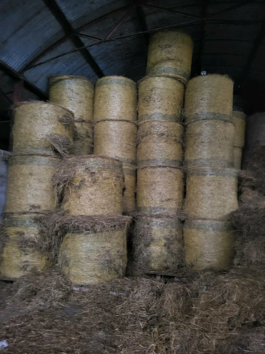 Silage bales - Image 3