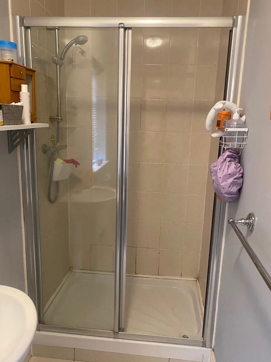 Shower doors - Image 1