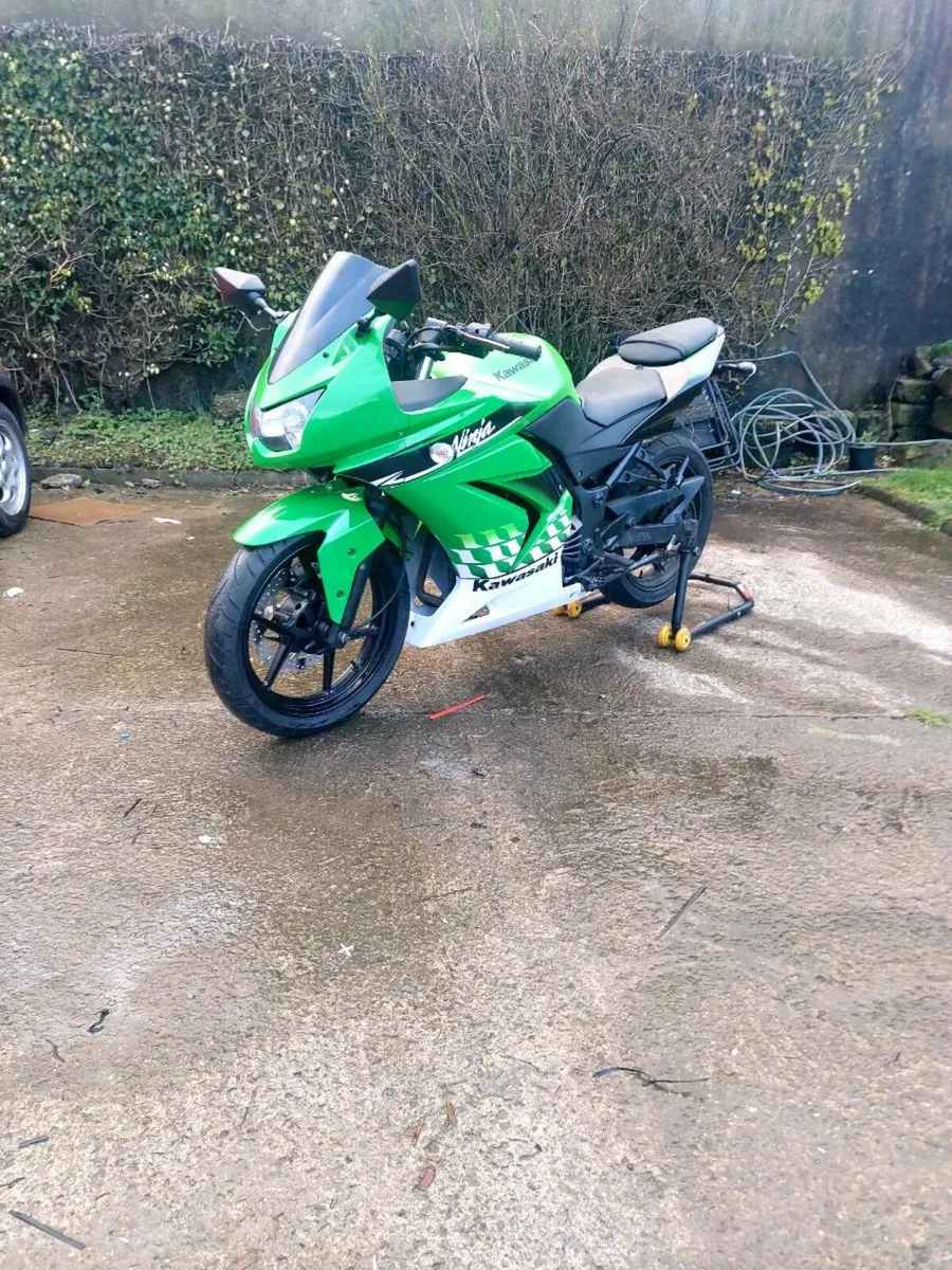 Ninja250  Ninja 250 EX250 R - Image 3