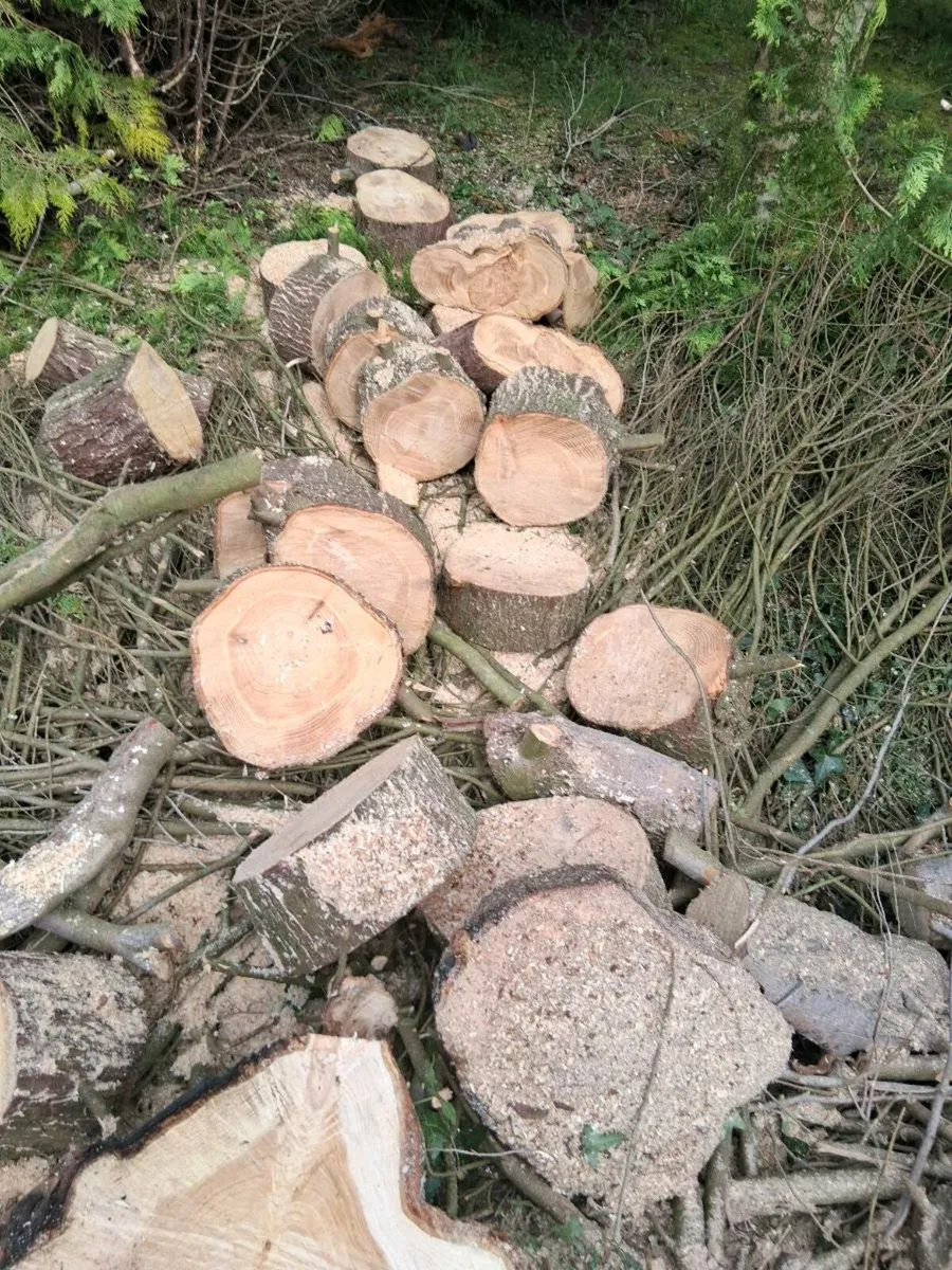 Property Maintenance - Image 3