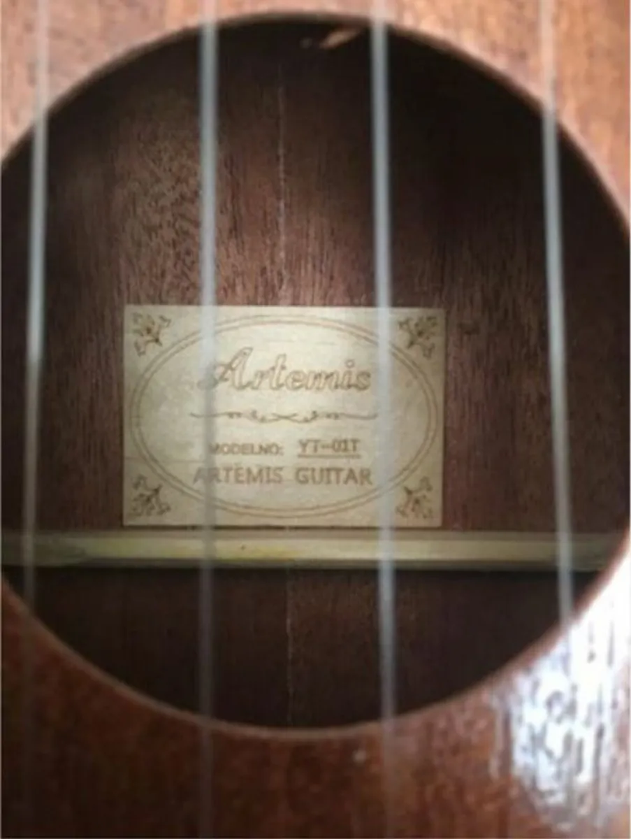 Ukulele Tenor + BEGINNERS COURSE+ Accessories - Image 3