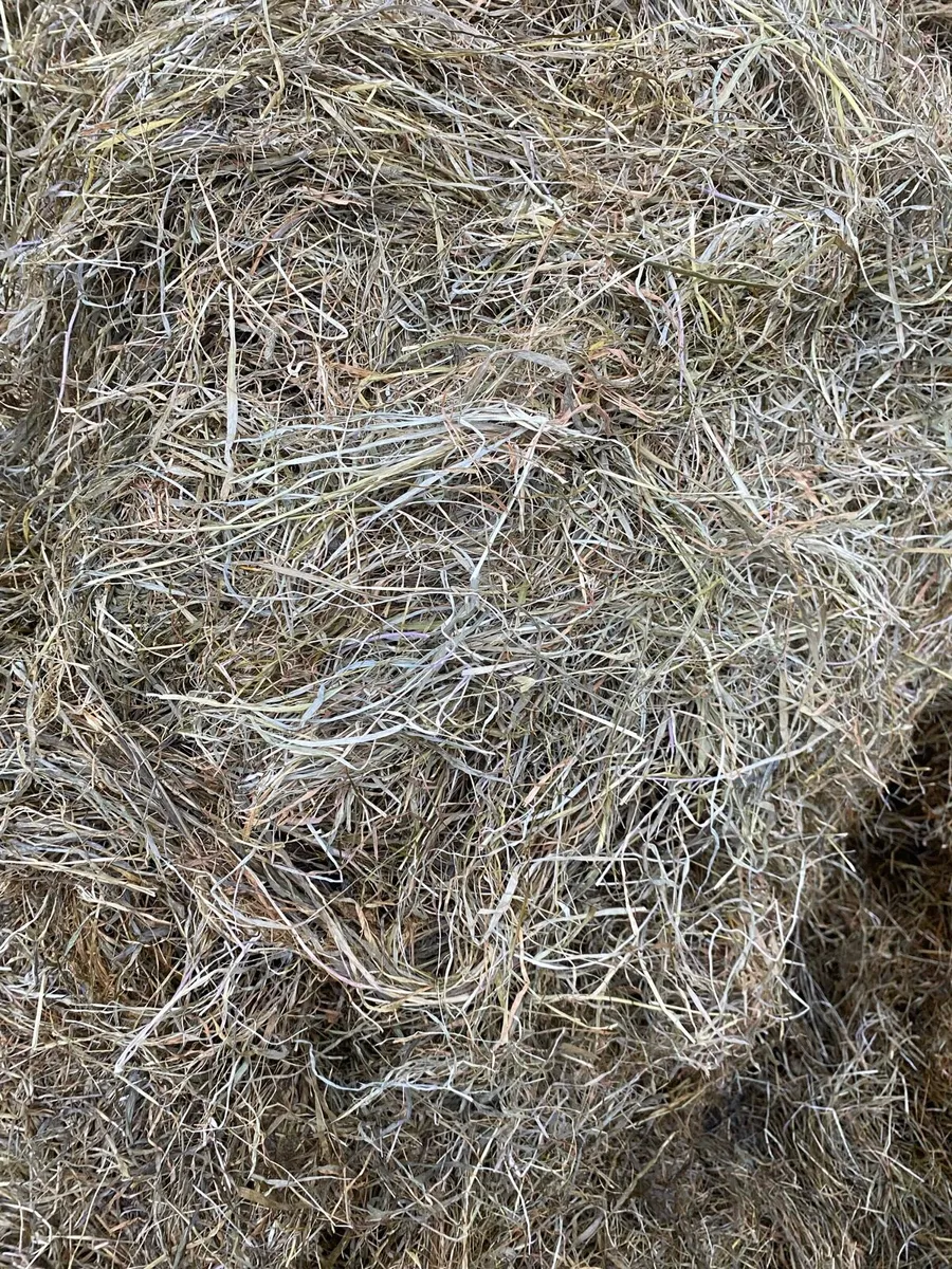 13 round bales of Haylage - Image 2