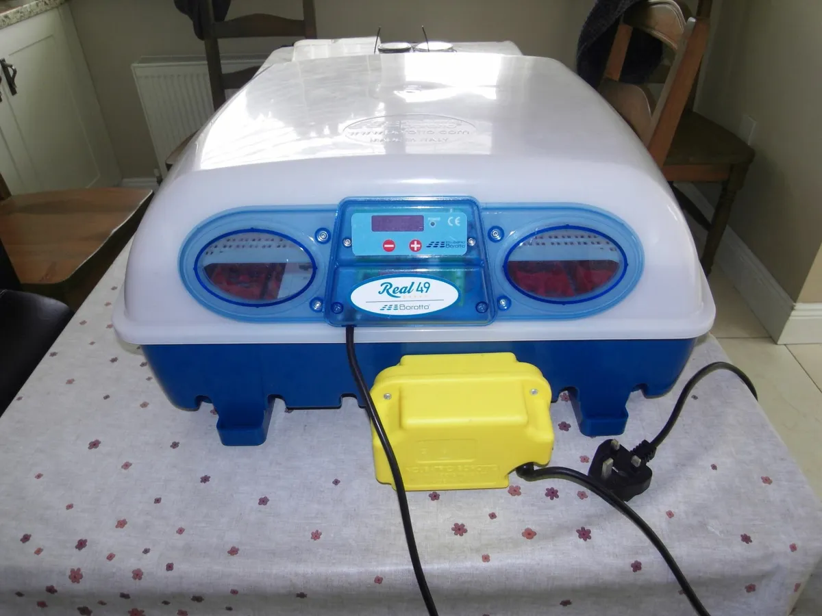 INCUBATOR AND POULTRY EQUIPMENT - Image 1