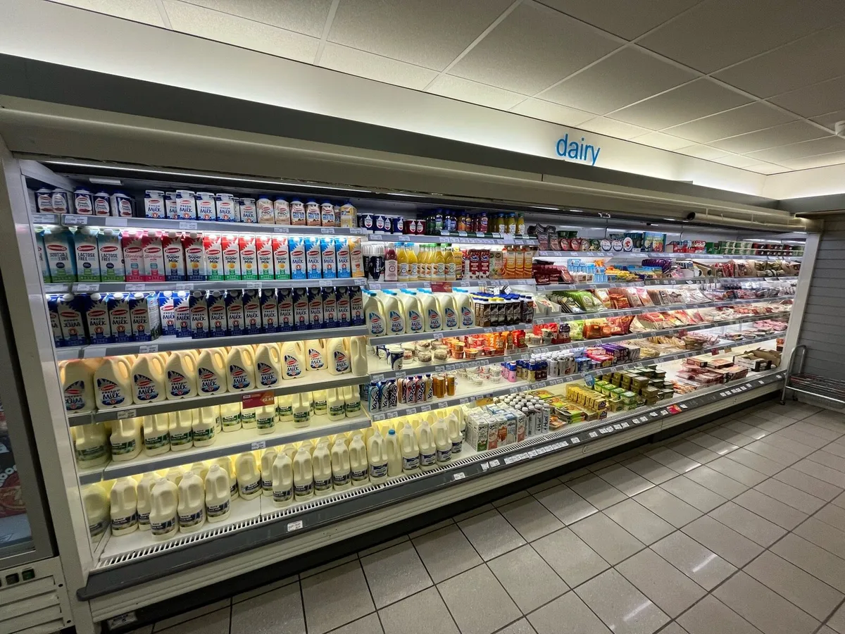 Fridge (Darywall) - Image 1