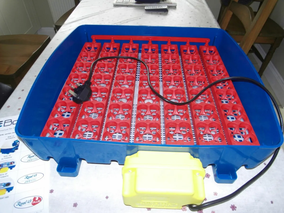 INCUBATOR AND POULTRY EQUIPMENT - Image 2