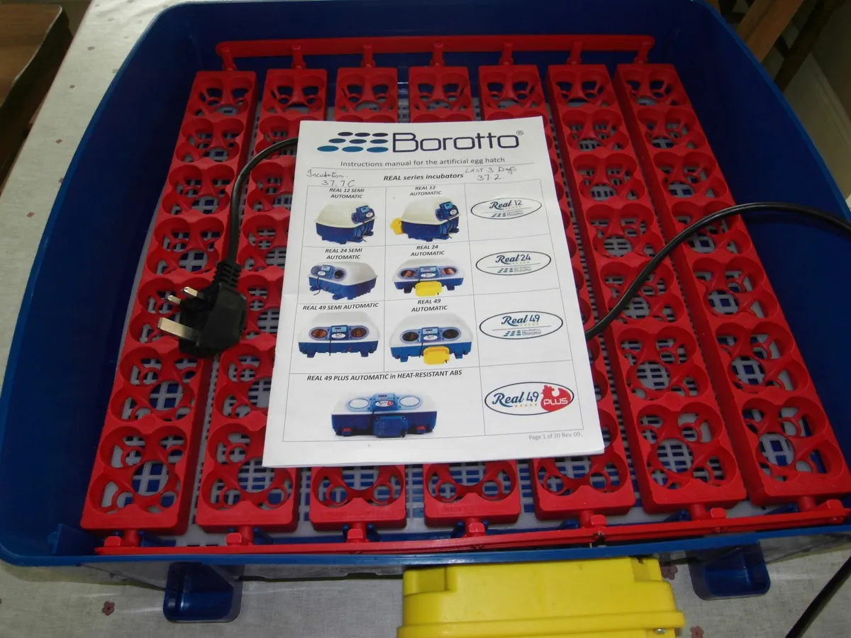 INCUBATOR AND POULTRY EQUIPMENT - Image 3