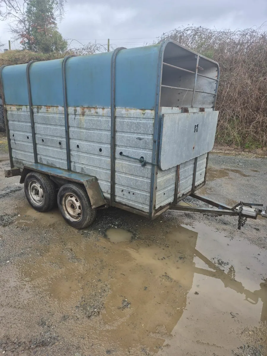 10 x 6 cattle/sheep  trailer - Image 1