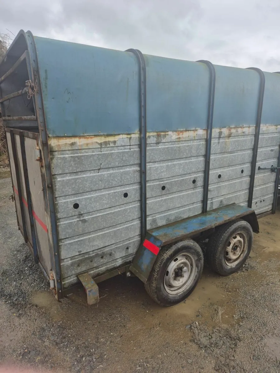 10 x 6 cattle/sheep  trailer - Image 2