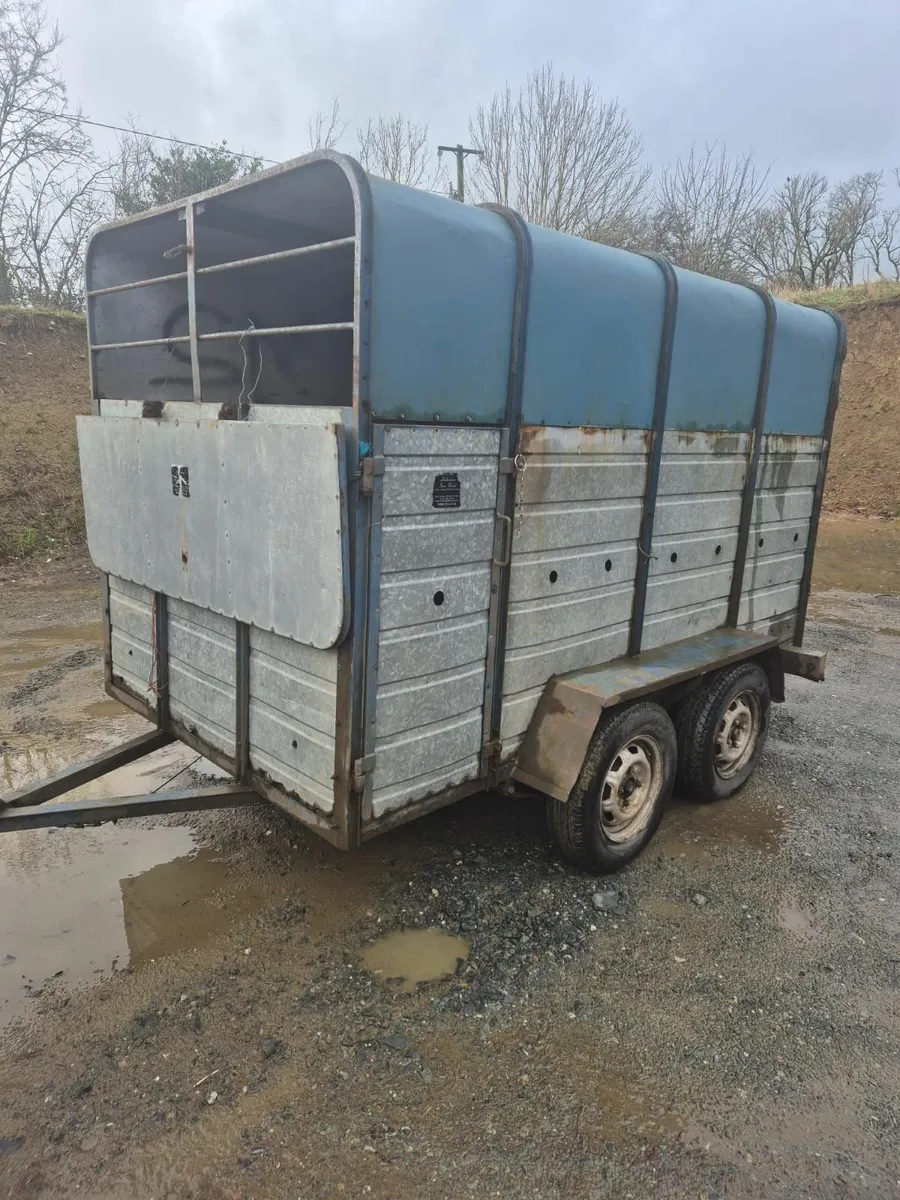 10 x 6 cattle/sheep  trailer - Image 3