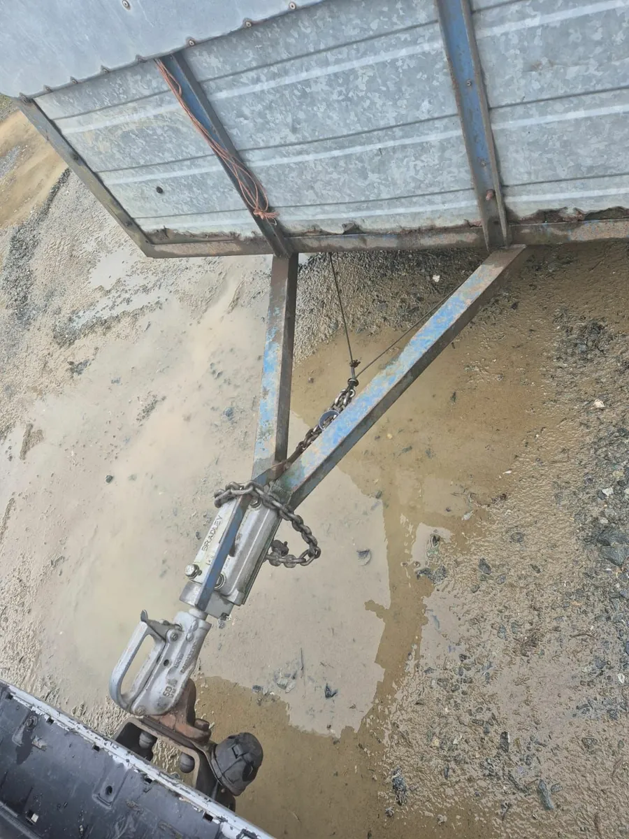 10 x 6 cattle/sheep  trailer - Image 4