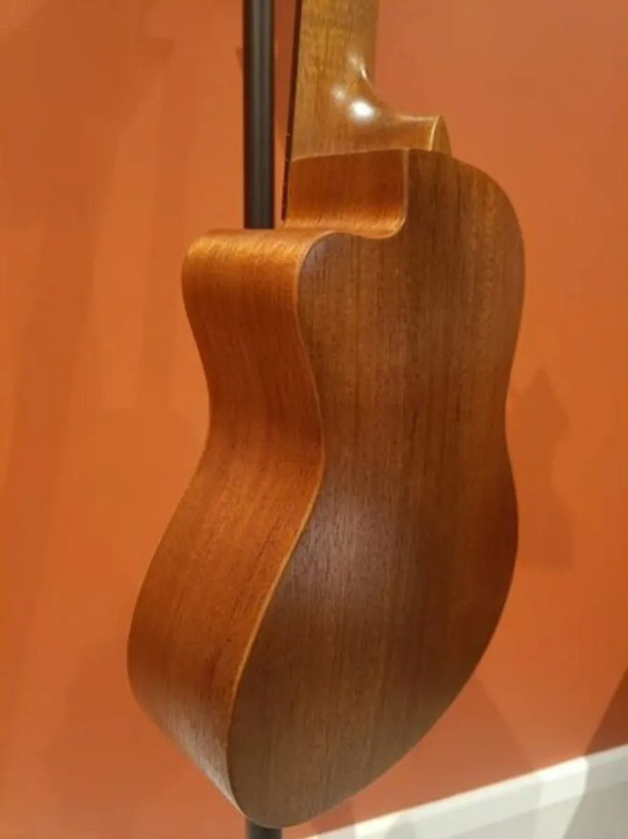 Ukulele Concert+ BEGINNERS COURSE + Accessories - Image 2