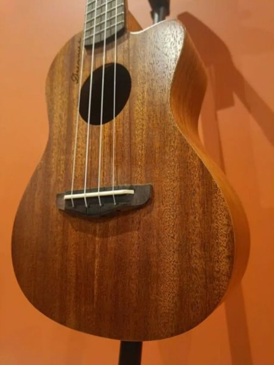 Ukulele Concert+ BEGINNERS COURSE + Accessories - Image 4