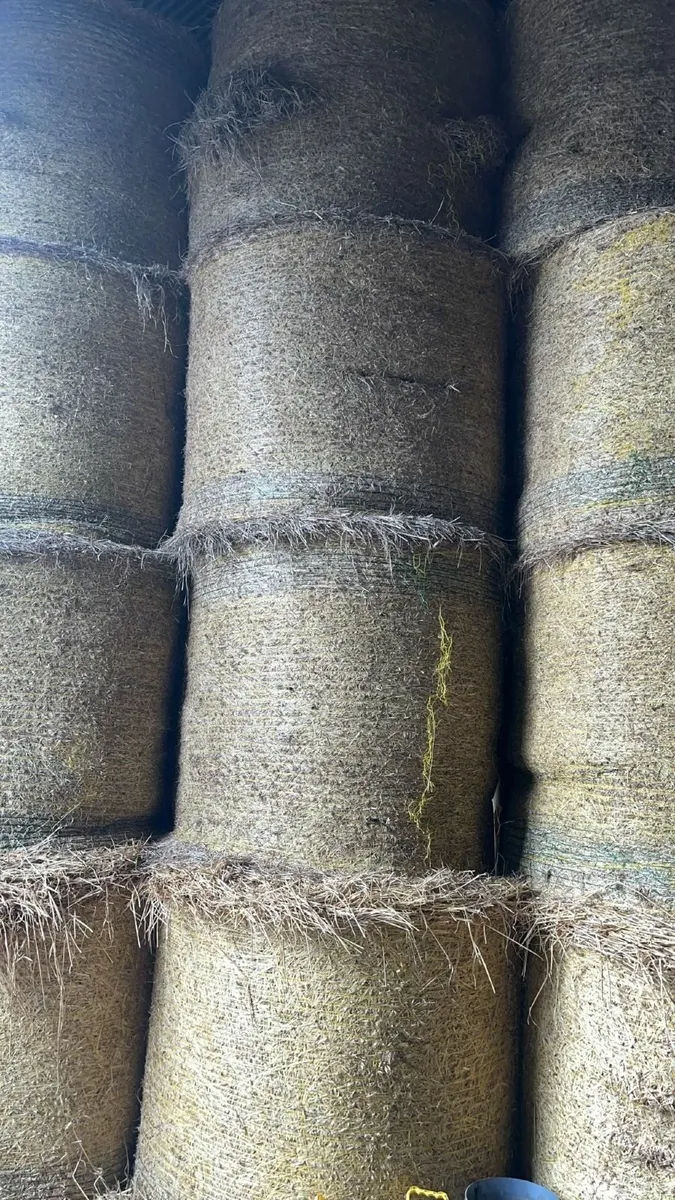 Round Spring Barley Straw and Hay - Image 4