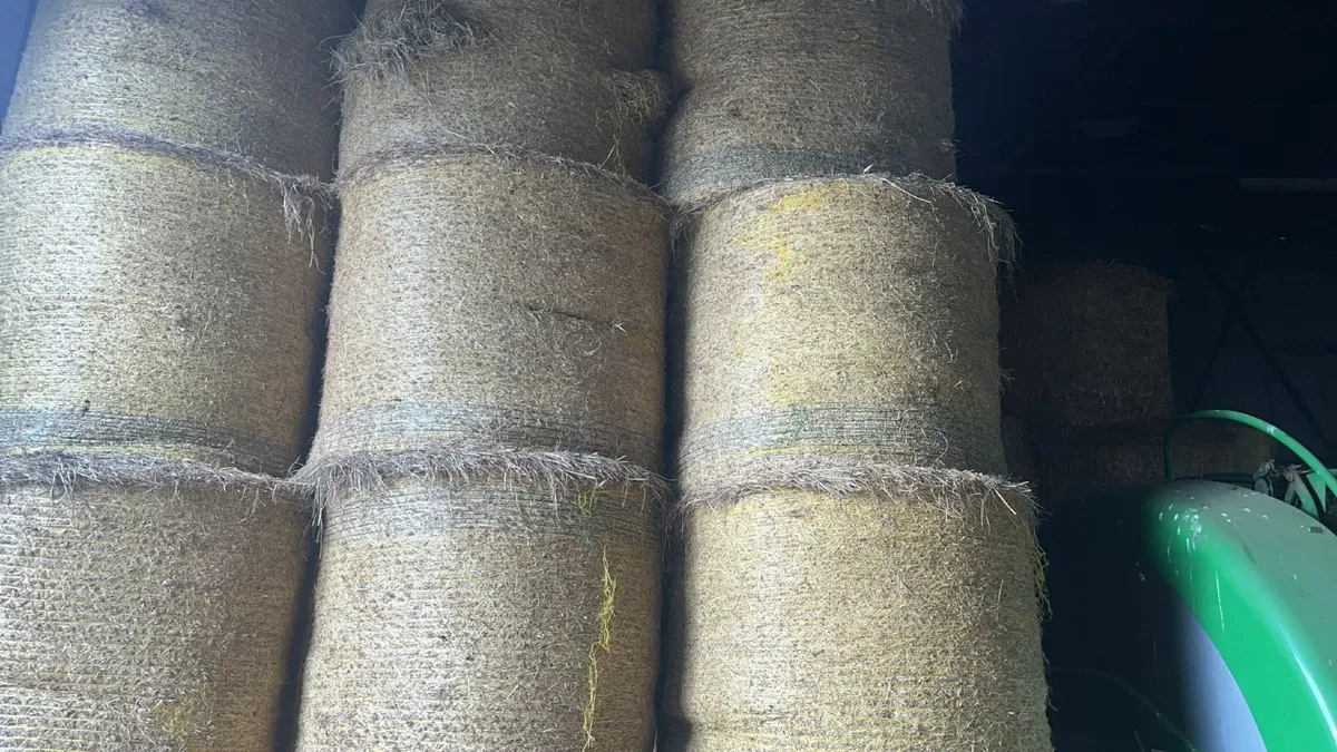 Round Spring Barley Straw and Hay - Image 3