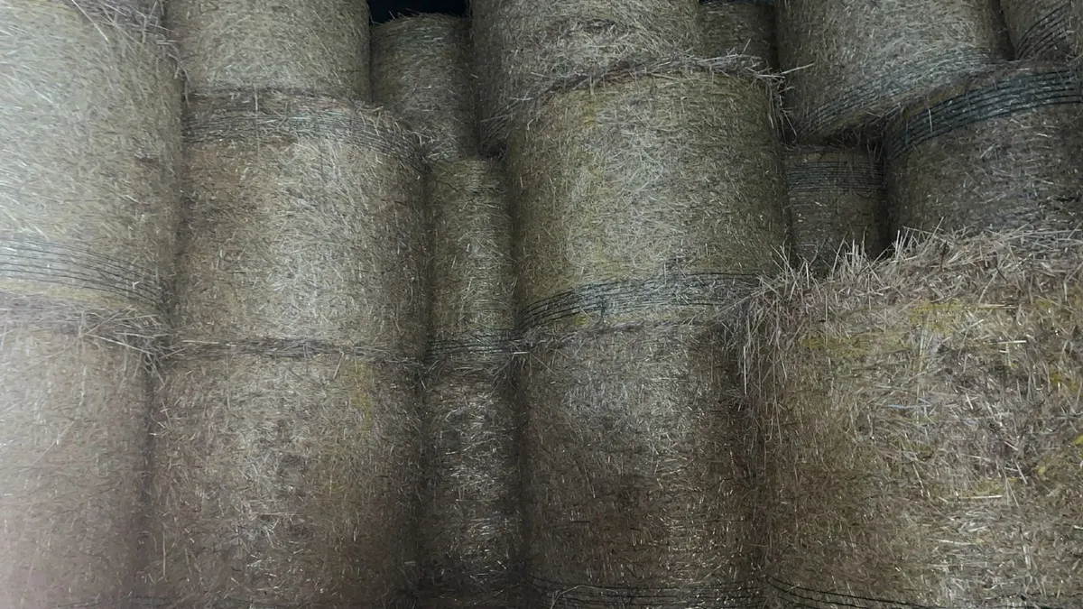 Round Spring Barley Straw and Hay - Image 1