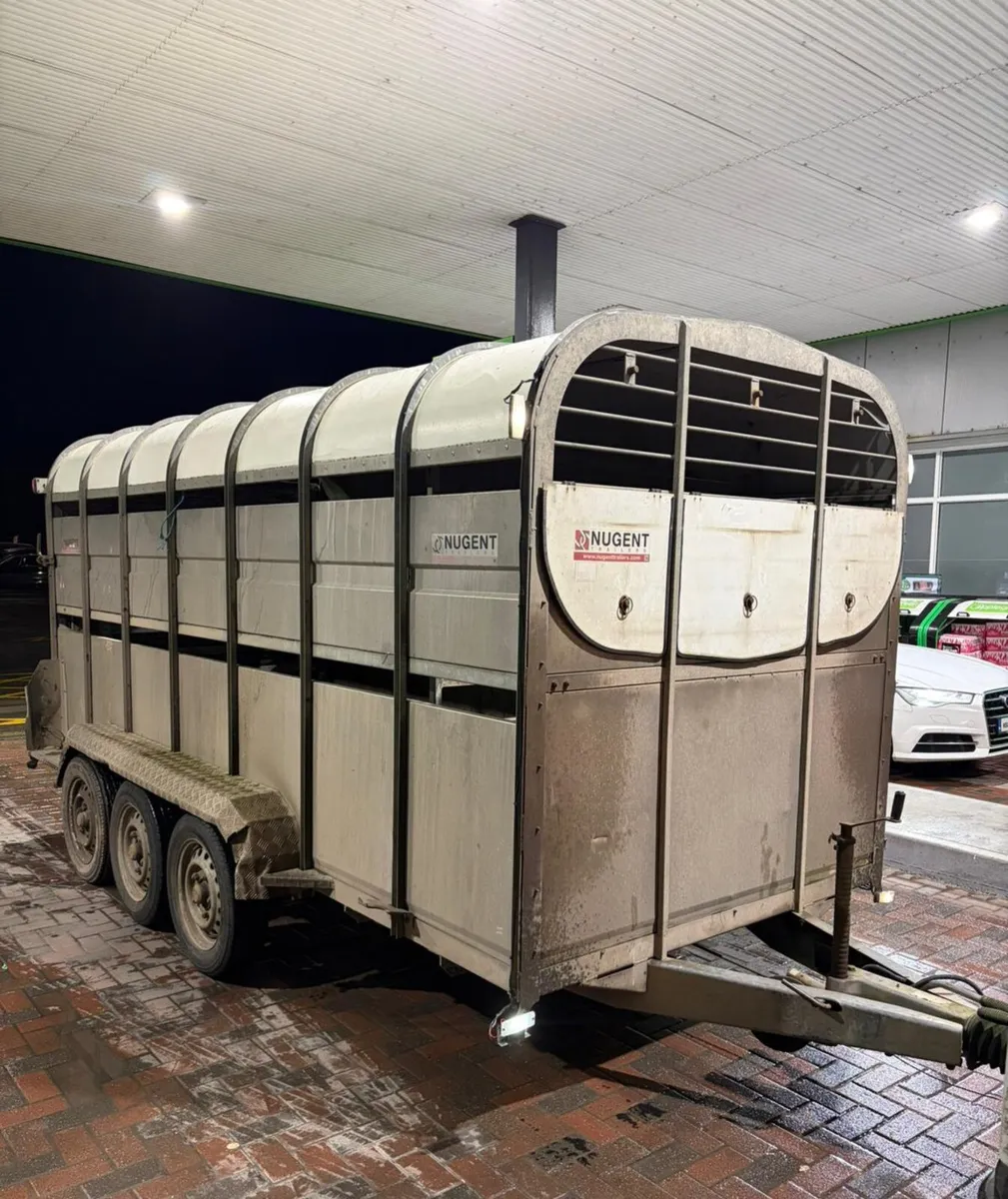 14fNugent cattle trailer for sale - Image 1