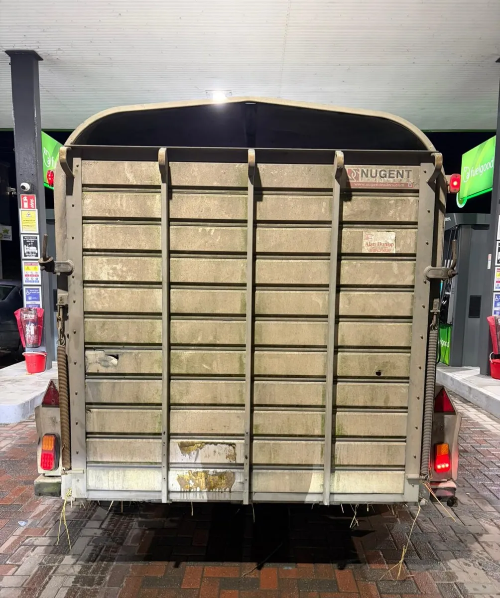 14fNugent cattle trailer for sale - Image 3
