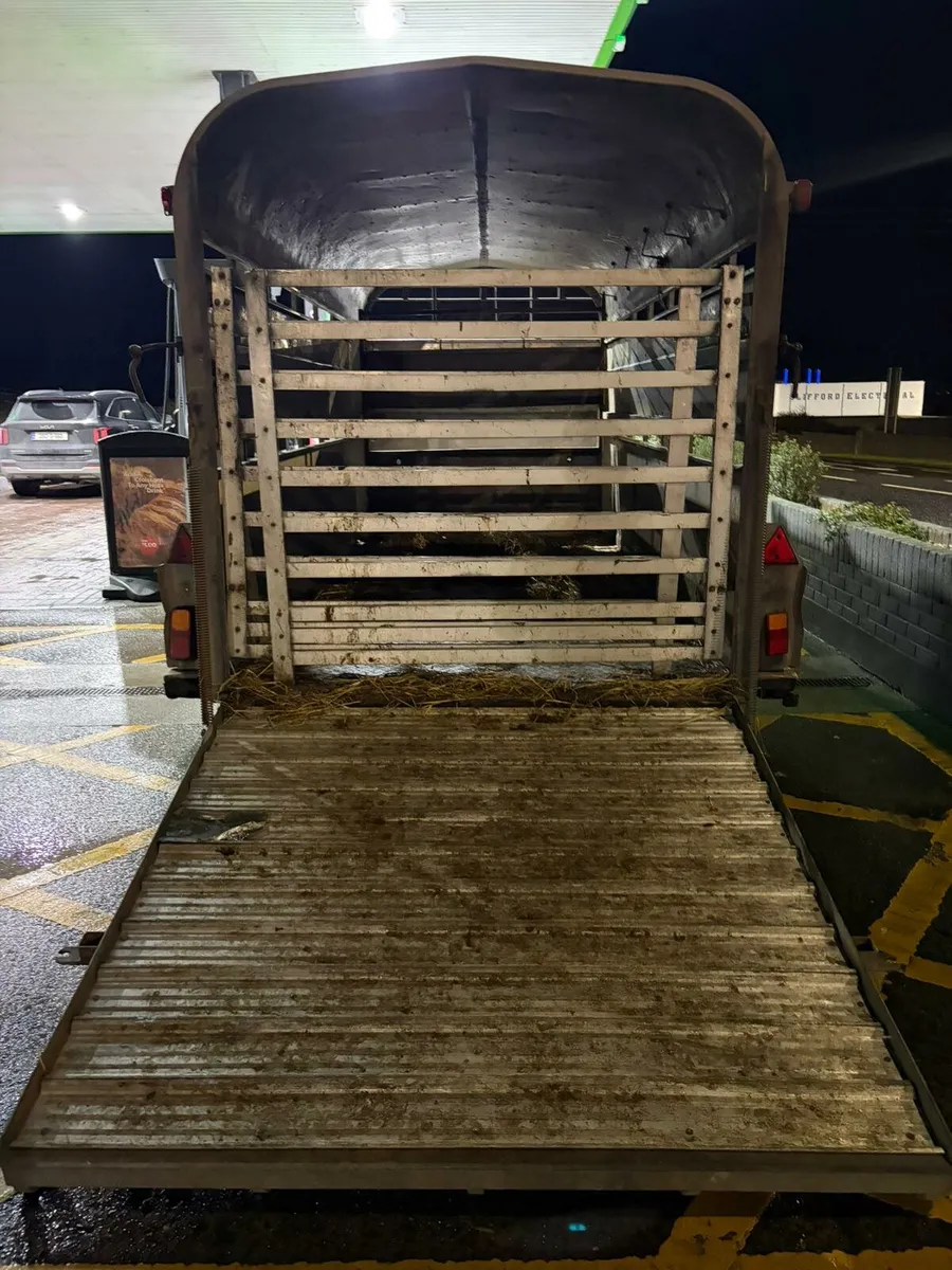 14fNugent cattle trailer for sale - Image 4