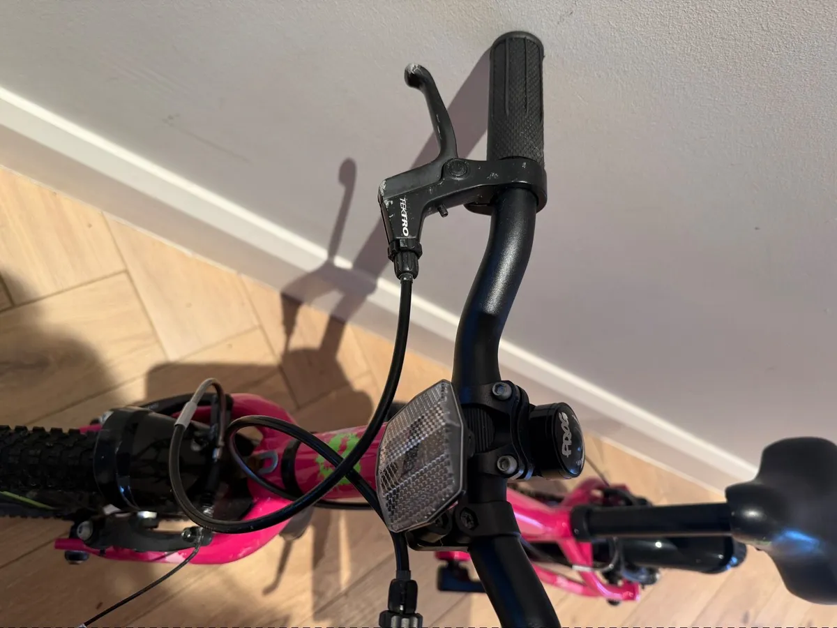 Frog Bike 40 - Image 1