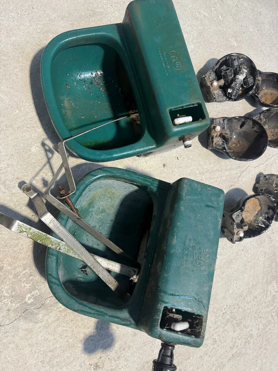 sellection of water bowls - Image 2