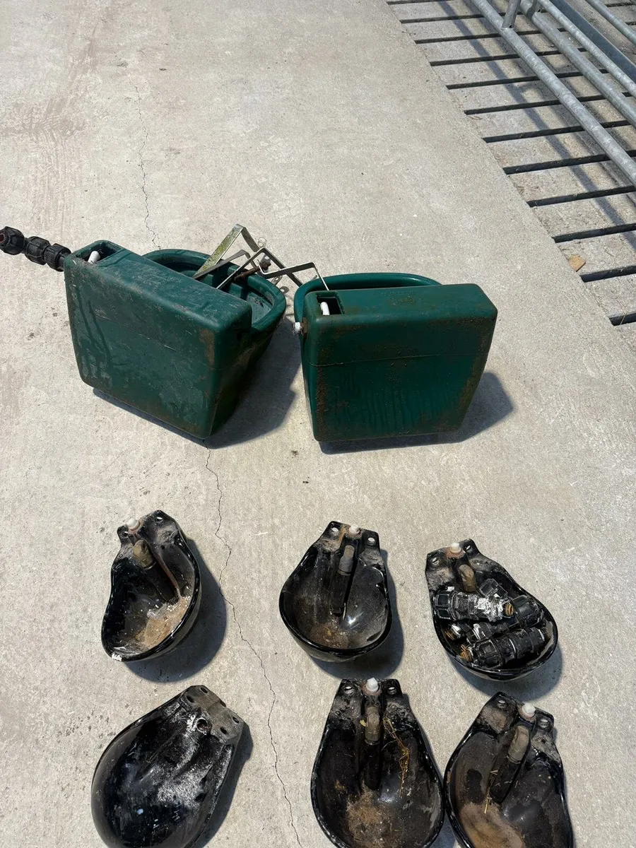 sellection of water bowls - Image 1