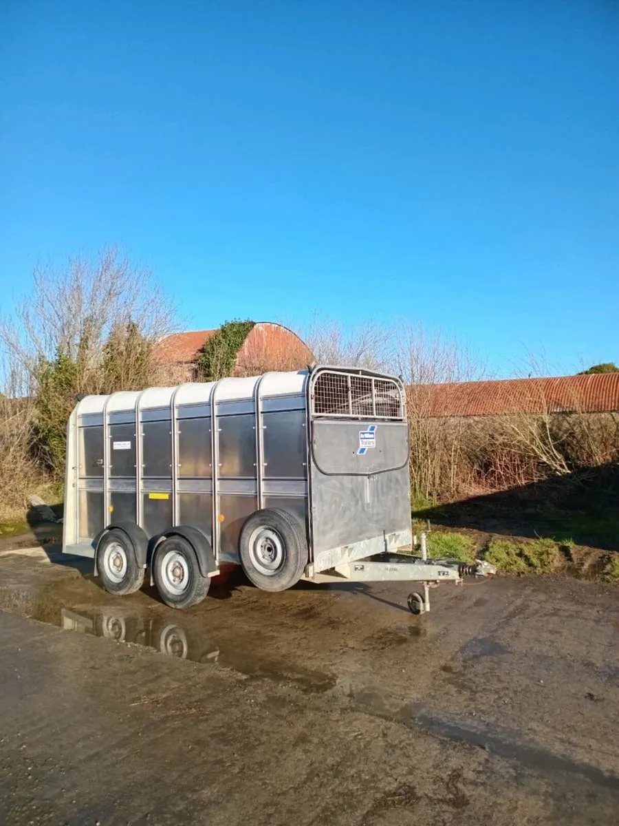 Ifor williams livestock Trailer. Immaculate - Image 1