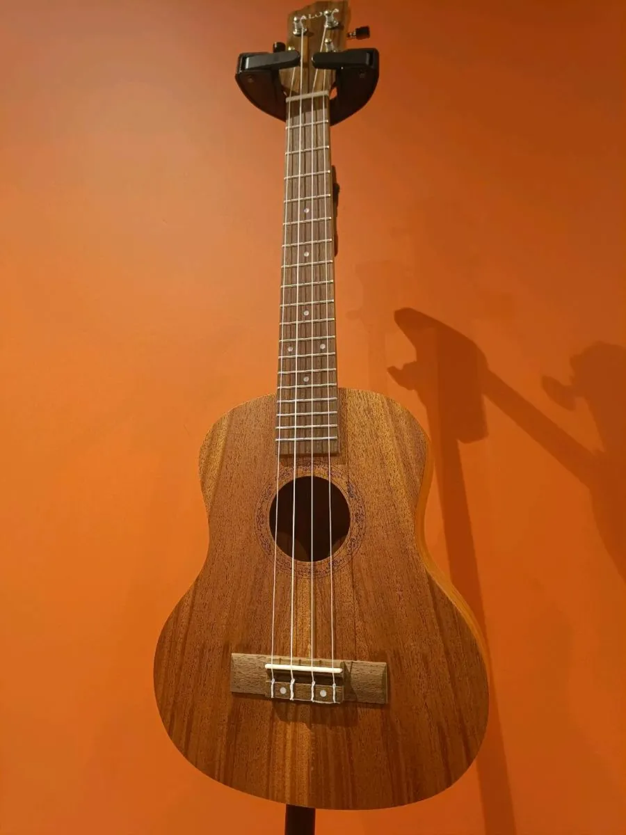 Ukulele Tenor + Beginners Course + Accessories - Image 2