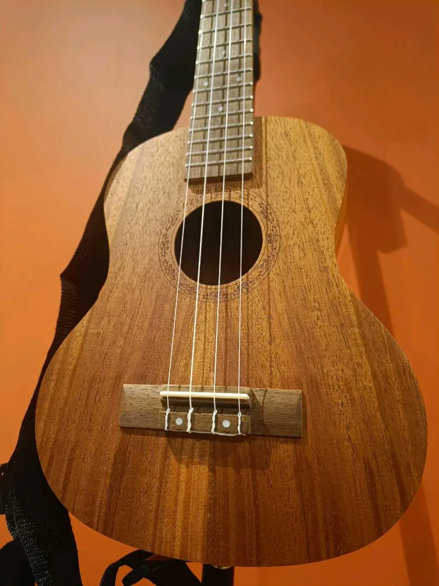 Ukulele Tenor + Beginners Course + Accessories - Image 1