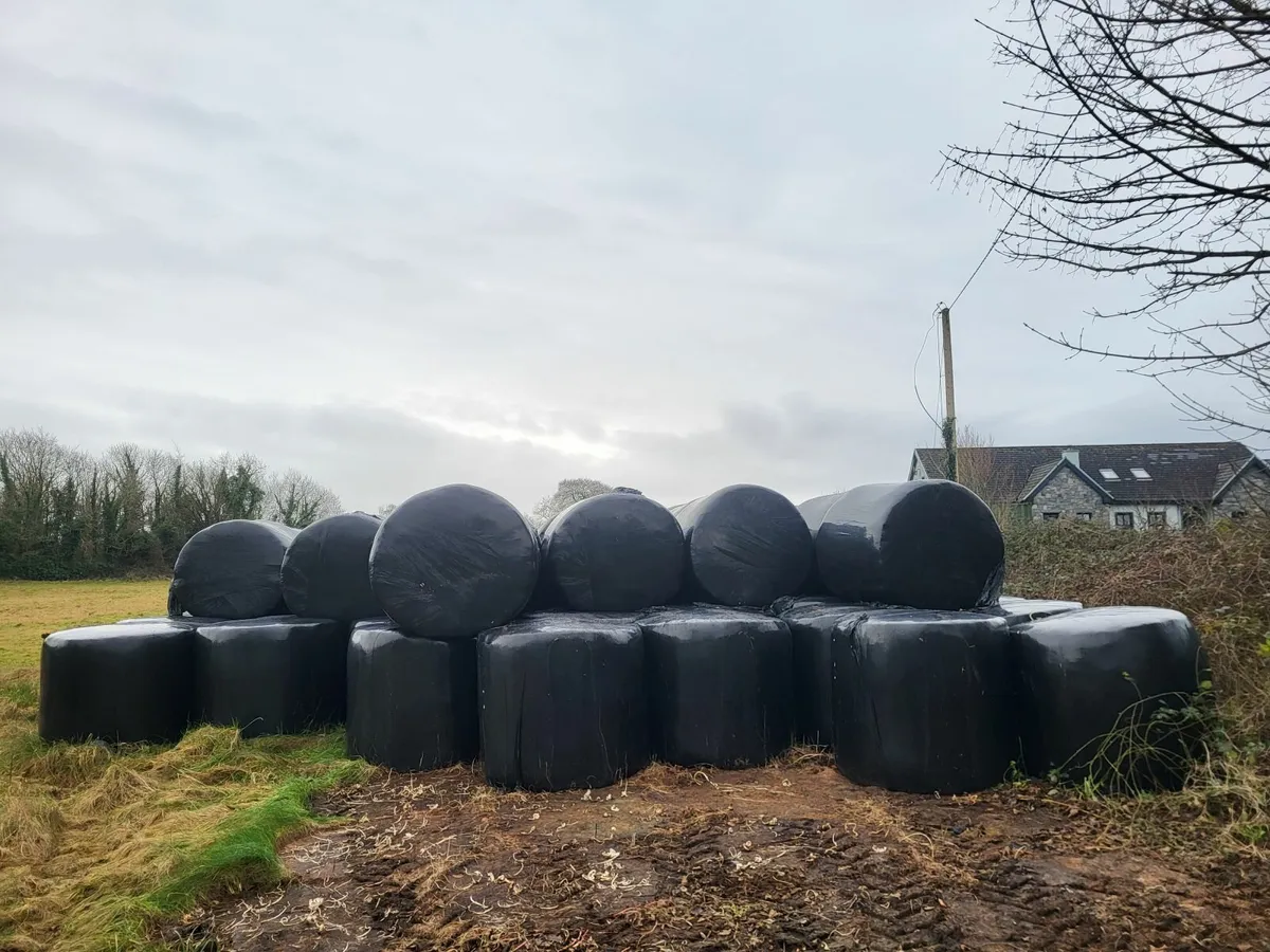 Silage bales - Image 1