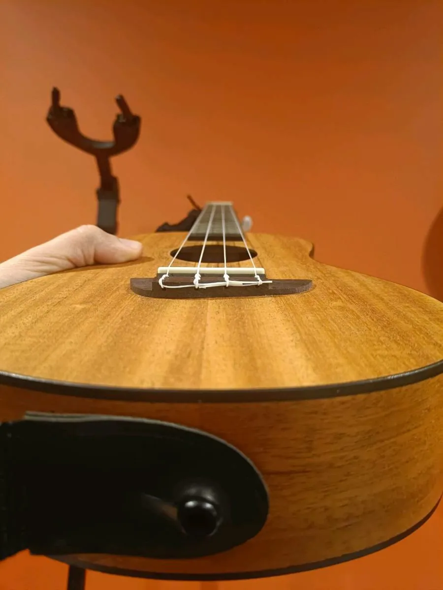 Ukulele Concert + Beginners Course + Accessories - Image 3